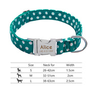 Personalized Dog Collar | Best Dog Collar | BABY ALERT INTERNATIONAL