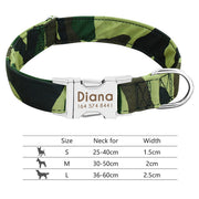 Personalized Dog Collar | Best Dog Collar | BABY ALERT INTERNATIONAL