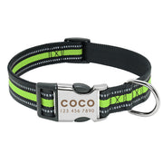 Personalized Dog Collar | Best Dog Collar | BABY ALERT INTERNATIONAL