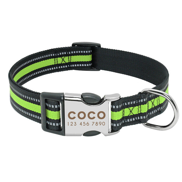 Personalized Dog Collar | Best Dog Collar | BABY ALERT INTERNATIONAL